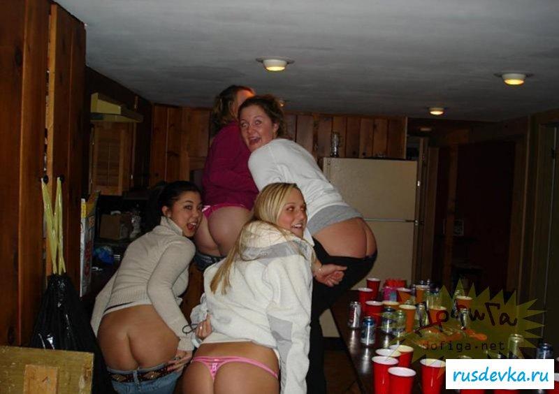 Пьяные овцы перепили алкоголя