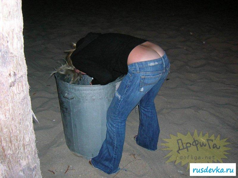 Пьяные овцы перепили алкоголя