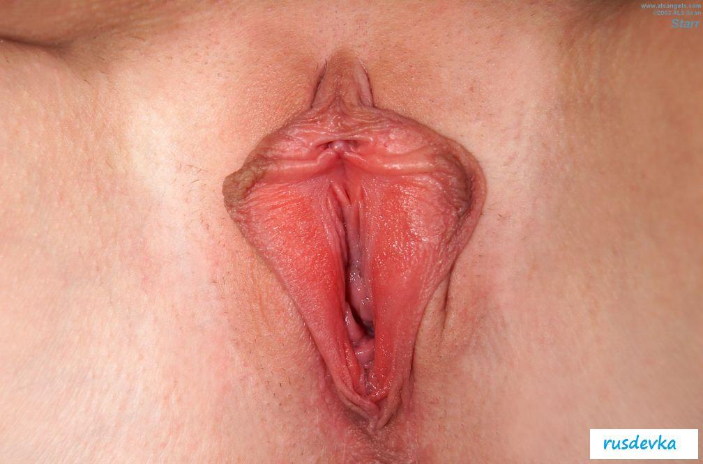 Вагины с большими половыми губами